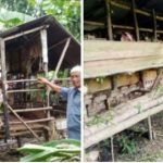 Bhabinkamtibmas Desa Magmagan Karya Monitoring Penyakit Mulut Dan Kuku Pada Ternak